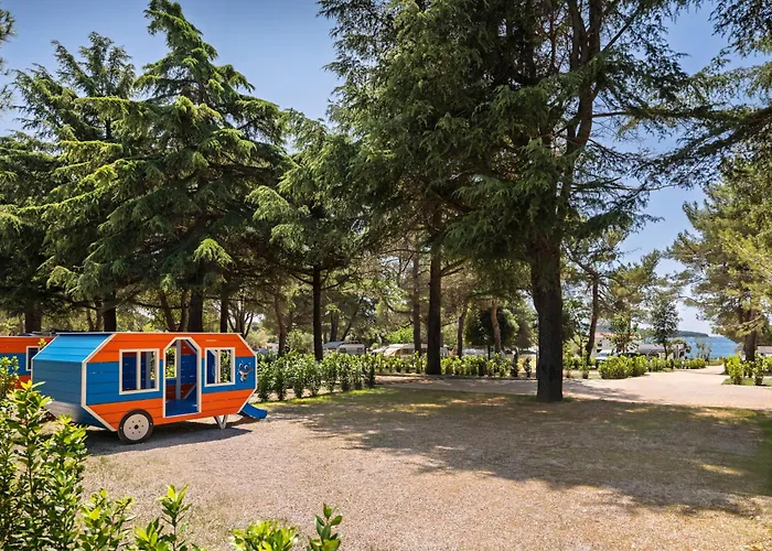 Maistra Koversada Covered Pitches